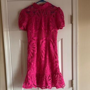 SHEIN Fuchsia Lace Detail Dress